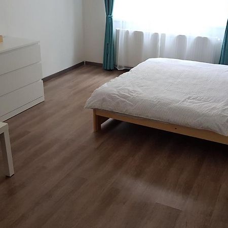 Apartman Pod Zamkem Decin Dış mekan fotoğraf
